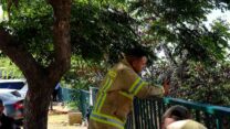 כבאים נחים בחפ"ק החירום במושב שורש. (צילום: אור משה גואטה)