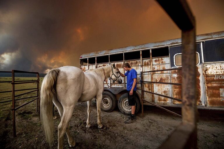 האנטר מק'קי מלטף את הסוסה רוזי אחרי שסייע לפנות אותה לגדות אגם אלמנור בקליפורניה בגלל התקרבות 'שריפת דיקסי'. הרשויות הוציאו מוקדם יותר באותו היום צווי פינוי לתושבים, והרוח היבשה שנבה באזור הביאה להתעצמות האש. (צילום: AP Photo/Noah Berger)