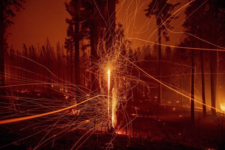 צילום בחשיפה ארוכה של גחלים שעפות מעצים שעלו באש ב'שריפת קאלדור' בקליפורניה. באמצע חודש אוגוסט נשרף בקליפורניה שטח גדול יותר מבאותה תקופה בשנה שעברה, אז נרשם שיא של כל הזמנים. כעת נכנסת השריפה לפרק זמן של רוחות חזקות, שבעבר הביאו לתוצאות הקטלניות ביותר. (צילום: AP Photo/Ethan Swope, File)