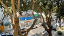 רחוב נורדאו בחיפה בו התרחש הירי (צילום: דבר)
