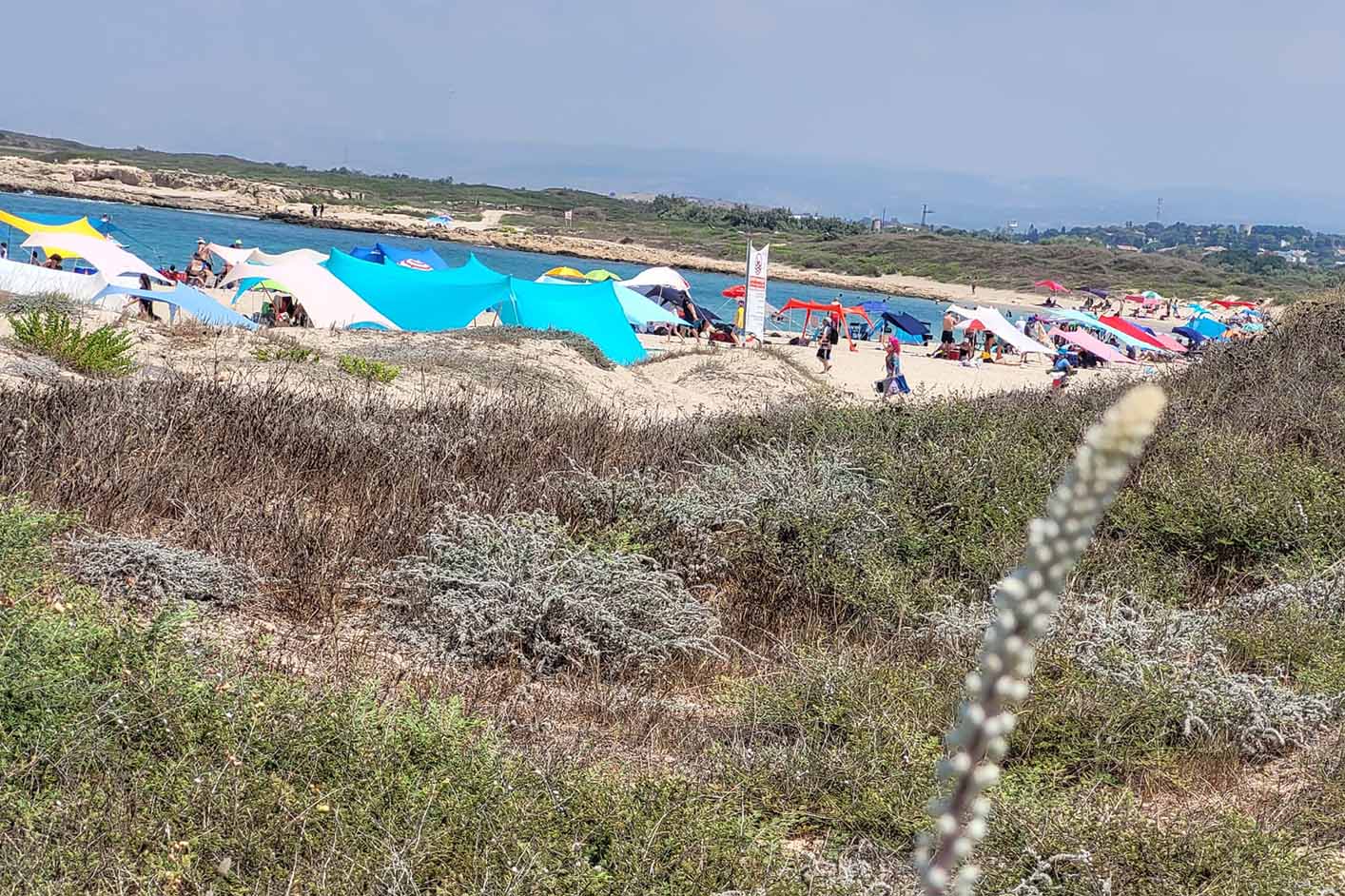 גן תל דור (צילום: יוסי אוזן רשות הטבע והגנים)