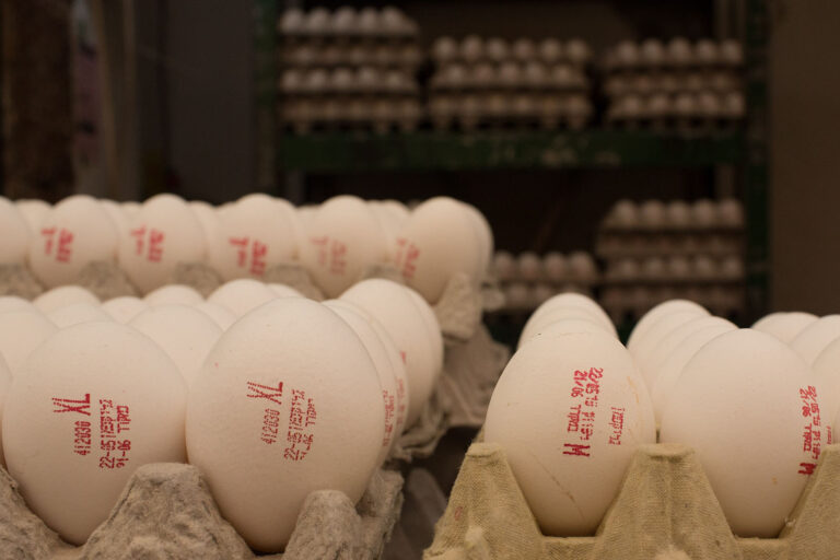 A crate of eggs at a supermarket. “They print the coupon and we pay the price.” (Photo: Sarah Schuman/Flash90)