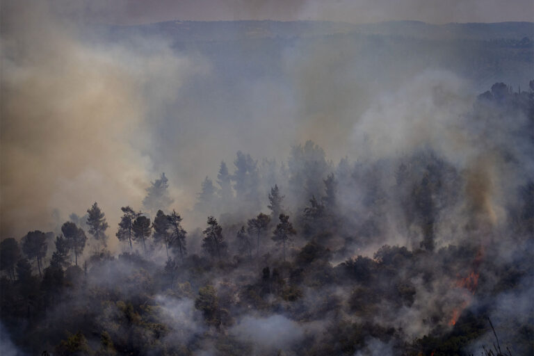 Burned down trees in a forest near Beit Meir, outside of Jerusalem. (Photo: Olivier Fitoussi / Flash90)