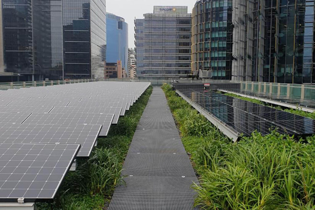 גג בעיר סידני באוסטרליה שמשלב צמחייה ופנלים סולאריים. (צילום: UTS research team)