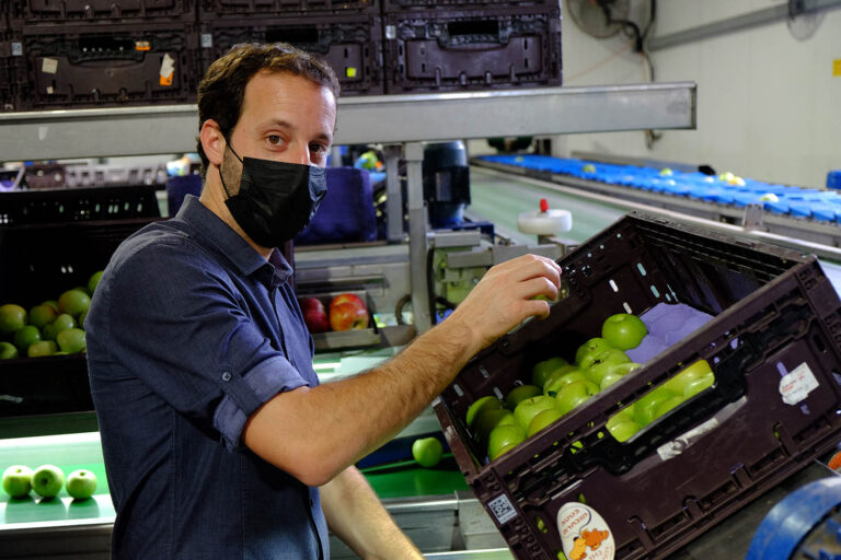 Labor MK Ram Shefa, who opposes the reform, examines fruit at a packing plant. (Photo: David Tversky)