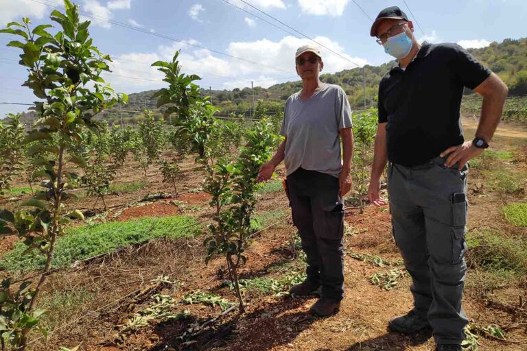 Nili Tennenbaum (on left) from Kibbutz Manara on the Lebanon border shows MKs her apple orchards. (Photo: David Tversky)