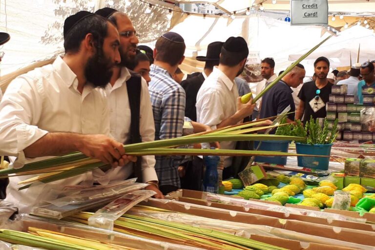 At the Four Species market in Jerusalem, buyers select their lulav and etrog with a discerning eye. (Photo: Reuben Leitush)