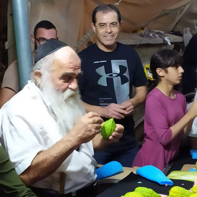 Moshe Edrei (on left) handles one of his etrogs with care. (Photo: Ilan Cohen)