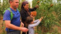 ביקורים במשקי פתחת ניצנה. סדנאות מלאכות קדומות וטעימת התוצרת (צילום: טל גליק)