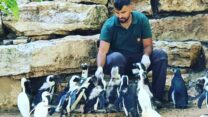 ליאור לוזון, ראש מחלקת ציפורים בספארי. "אני מאוד אוהב להסביר מאיפה הם מגיעים אלינו ואיך מבדילים ביניהם" (צילום: אלבום פרטי)