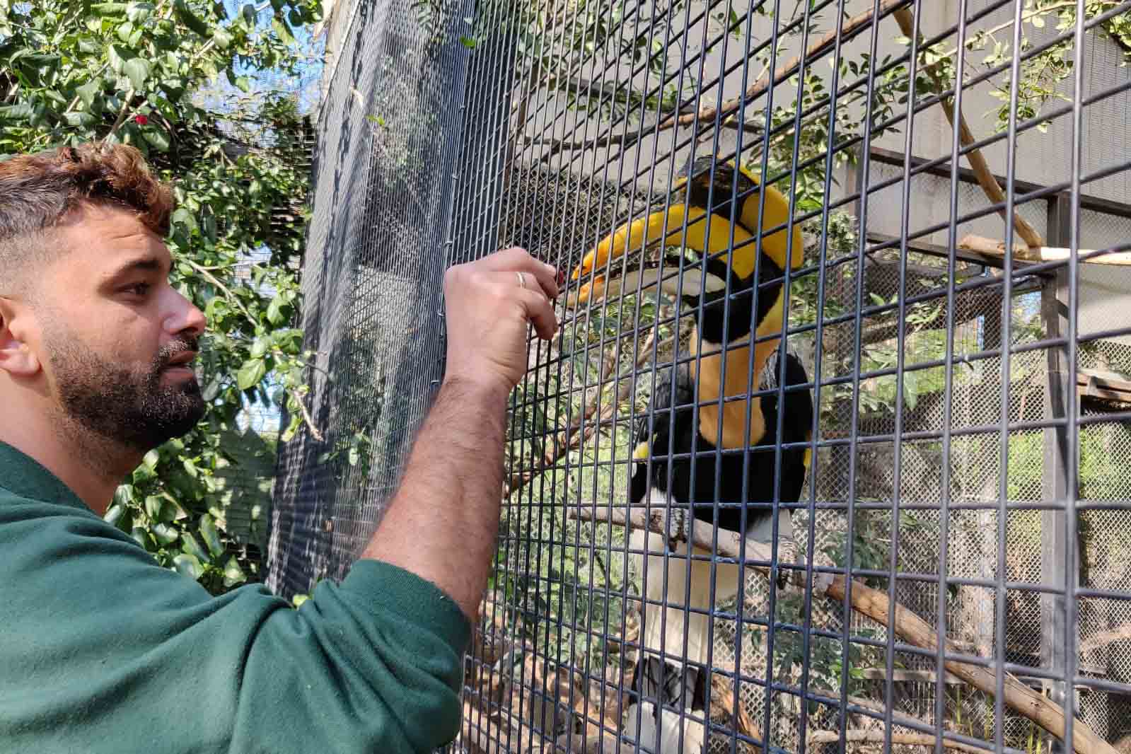 ליאור לוזון מאכיל ציפור: "אנשים, בתמימות, לא מבינים למה אסור להם להאכיל את בעלי החיים" (צילום: אלבום פרטי)