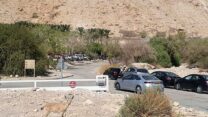 יעלים ומטיילים בנחל דוד (צילום: דודי גרינבאום רשות הטבע והגנים)
