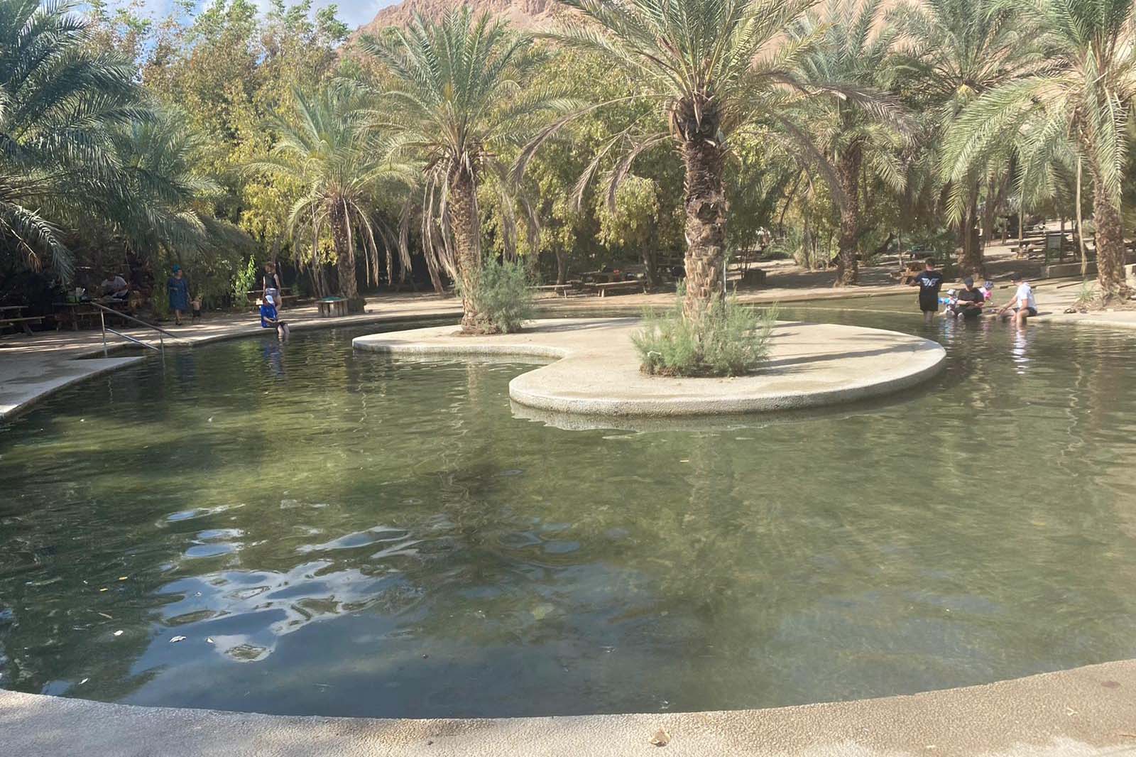 עינות צוקים (צילום: שלומית שביט רשות הטבע והגנים)