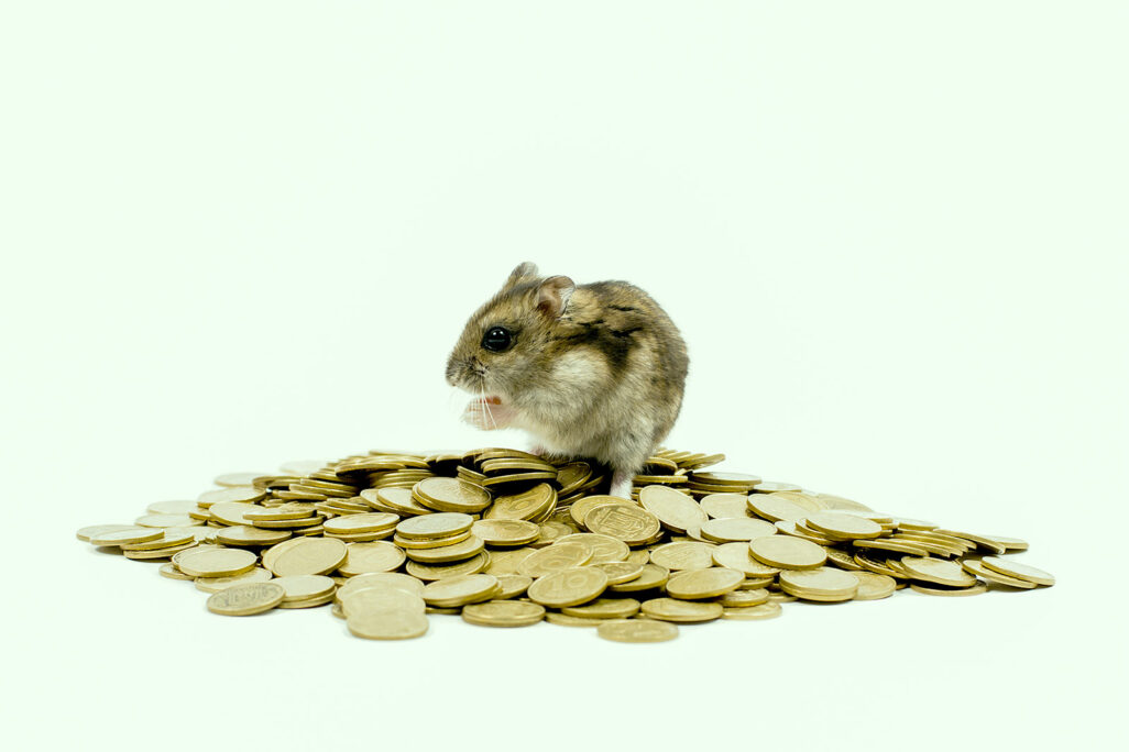 אוגר על ערימת מטבעות (צילום אילוסטרציה: Shutterstock)