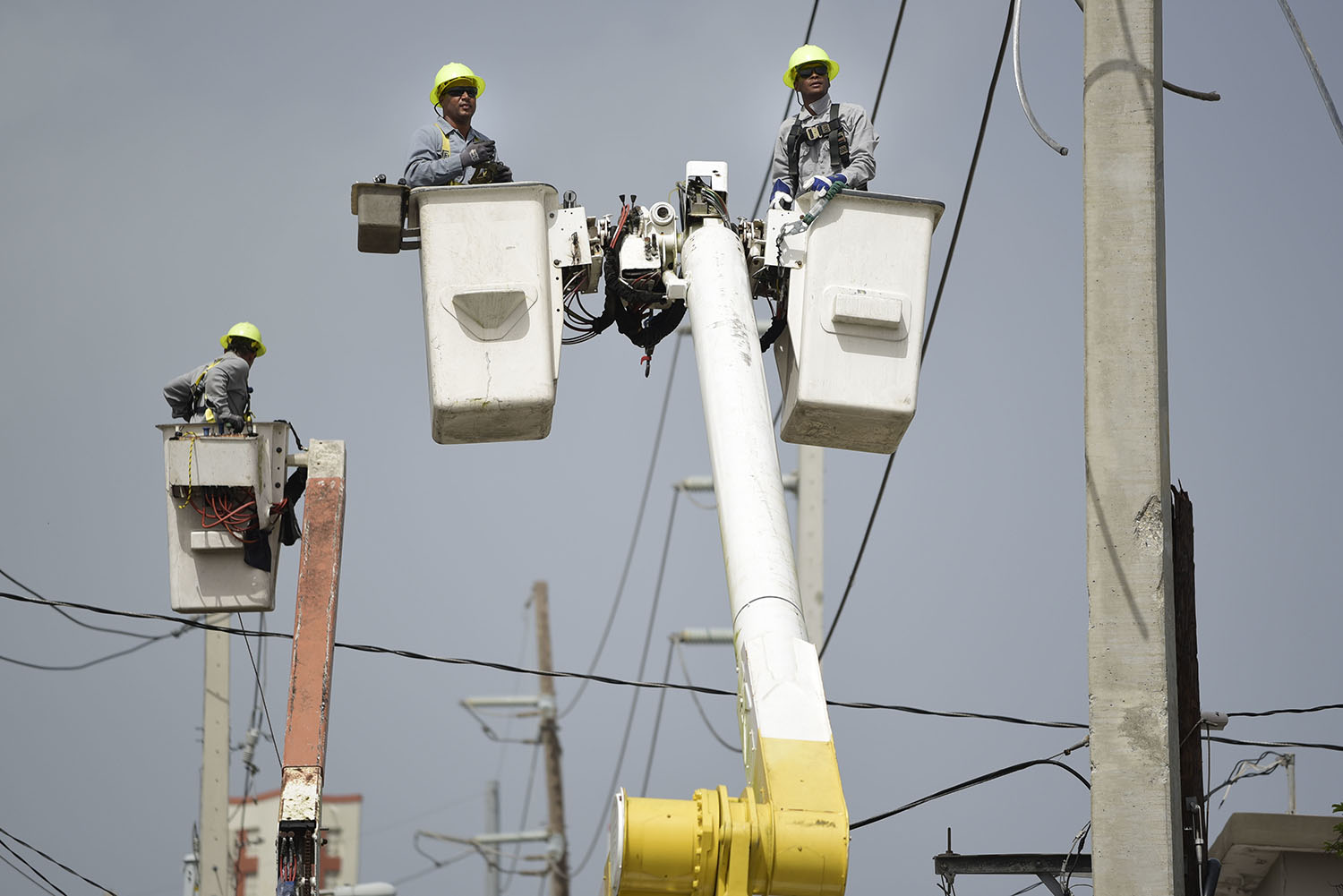 FILE -עובדי חברת החשמל בפוארטו ריקו מתקנים את נזקי הוריקן אירמה לרשת החשמל באי, 2017 (AP Photo/Carlos Giusti, File)