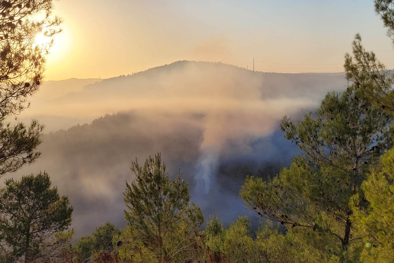 מוקד השריפה בשעות הבוקר המוקדמות (צילום : אריאל קדם רשות הטבע והגנים)