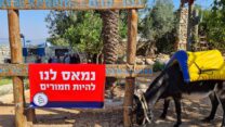 כנס התיירות בהושעיה (צילום: הדס יום טוב)