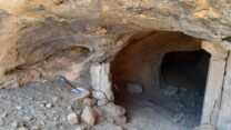 קרציות מערות בתרונות רוחמה שבנגב המערבי (צילום: ד"ר גל זגרון, המשרד להגנת הסביבה)