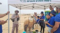 מטיילים בתחנת הסברה על הרעלת נשרים בשדה בוקר (צילום: אורן עמית, רשות הטבע והגנים)