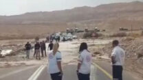 זירת האירוע בנחל צפית (צילום: דוברות מד"א)