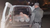 שקי הזיתים הגנובים שנתפסו (צילום: משטרת ישראל)