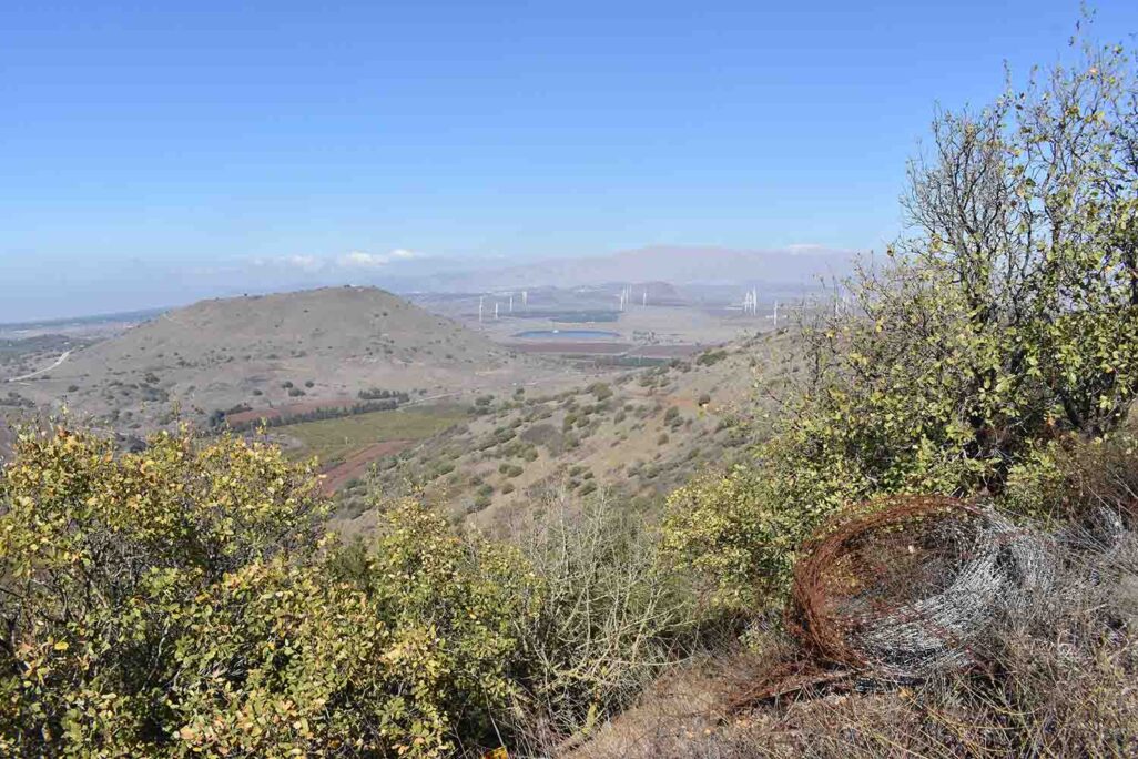 נוף ברמת הגולן (צילום: אוריאל לוי) נוף ברמת הגולן (צילום: אוריאל לוי)