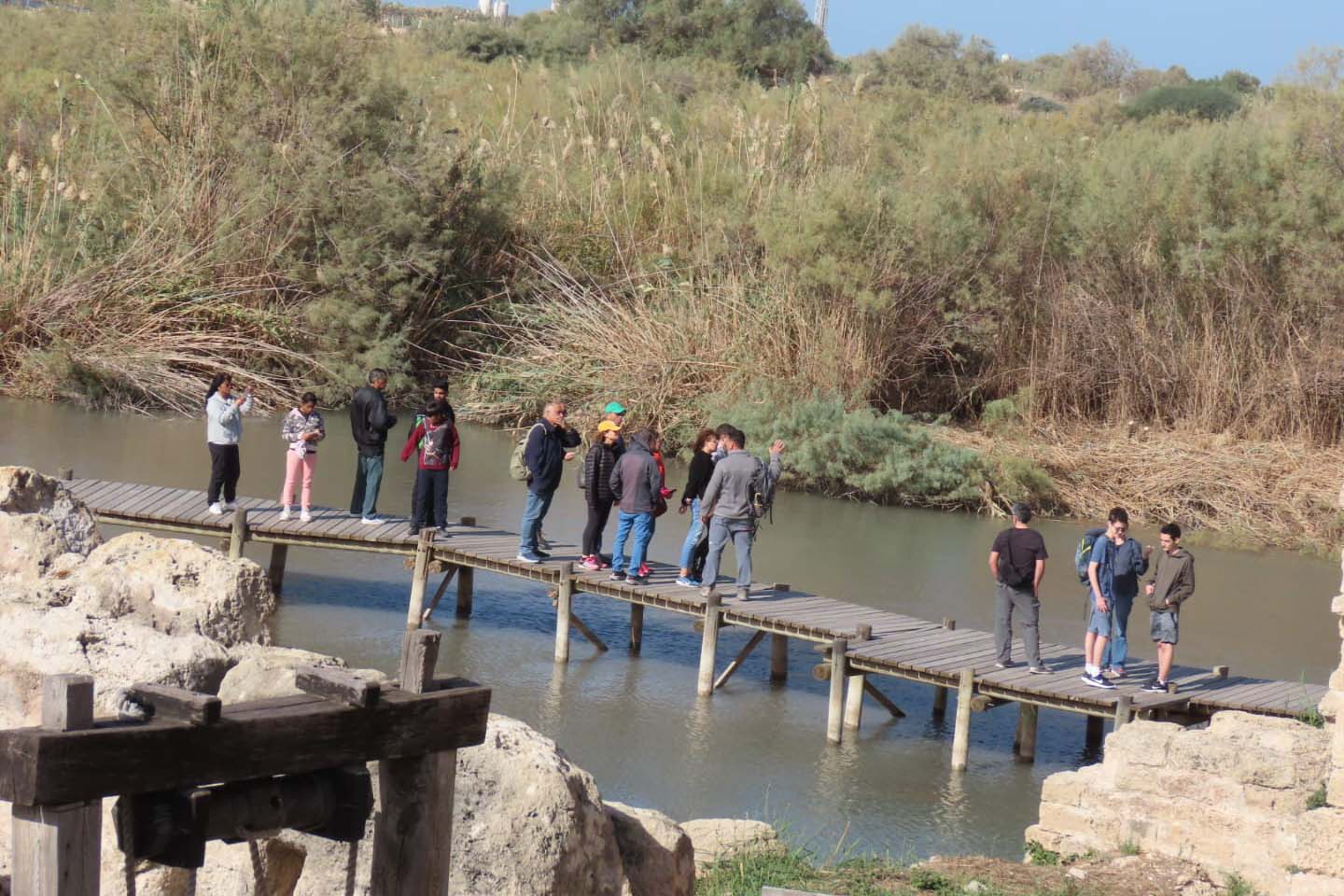 מטיילים ונרקיסים בשמורת הטבע נחל תנינים (צילום: שרית פאלאצ'י רשות הטבע והגנים)