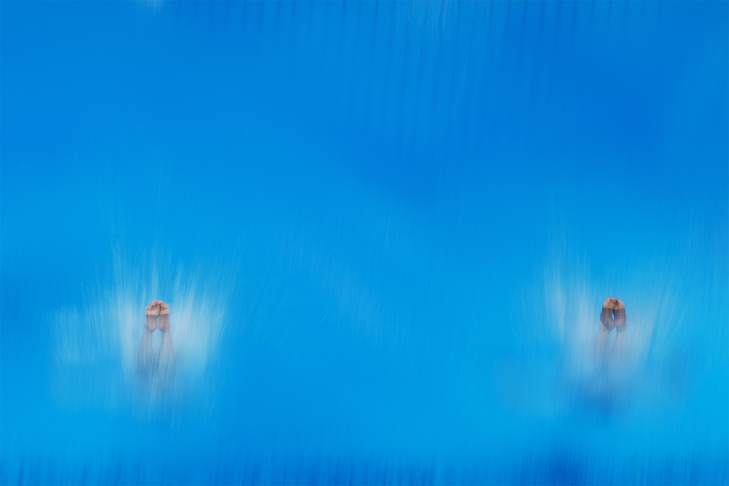 וונג זונגיואן ואקסי סיי הסינים מתחרים בקפיצה למים מגובה 3 מטרים באולימפיאדת הקיץ בטוקיו. 26 ביולי 2021 (צילום: AP Photo/Morry Gash)