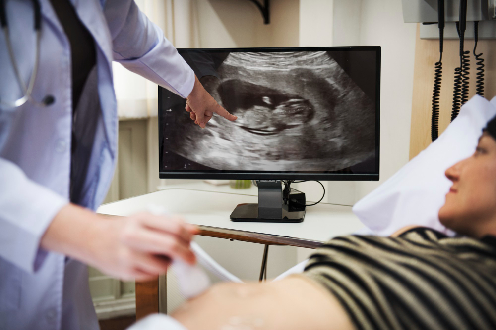trimester-pregnant-woman קרדיט: FREEPIK