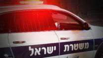 ניידת משטרה (צילום אילוסטרציה: lunopark/Shutterstock)