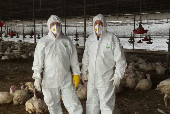 עובדי משרד החקלאות מטפלים בהתפרצות שפעת העופות (צילום ארכיון: משרד החקלאות)