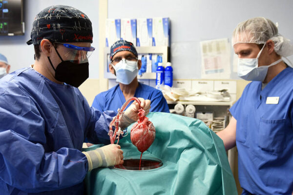 ניתוח בארה"ב להשתלת לב של חזיר בבן אדם (צילום: UMSOM/Handout via REUTERS)