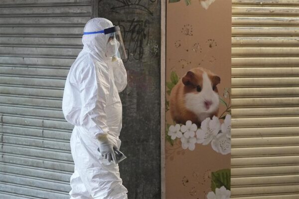 עובד רשויות הבריאות בהונג קונג, סמוך לחנות החיות בה התגלו מכרסמים נגועים בקורונה (צילום: AP Photo/Kin Cheung)