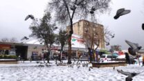 שלג בשכונת קרית יובל בירושלים (צילום: דוד טברסקי)