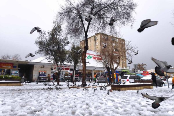 שלג בשכונת קרית יובל בירושלים (צילום: דוד טברסקי)