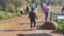מטיילים בנחל תבור (צילום: איציק קורן)