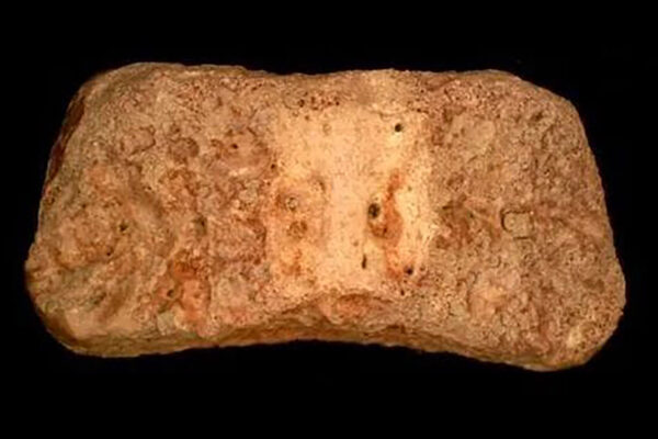 חוליית העצם של האדם הקדמון שנמצאה בחפירות עובדיה (צילום: רשות העתיקות)