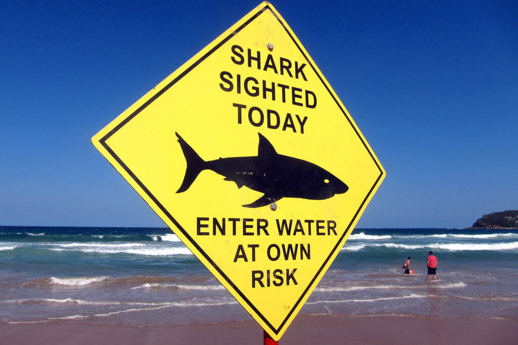 שלט בחוף בסידני המודיע על הימצאות כרישים (צילום: Reuters David Gray)