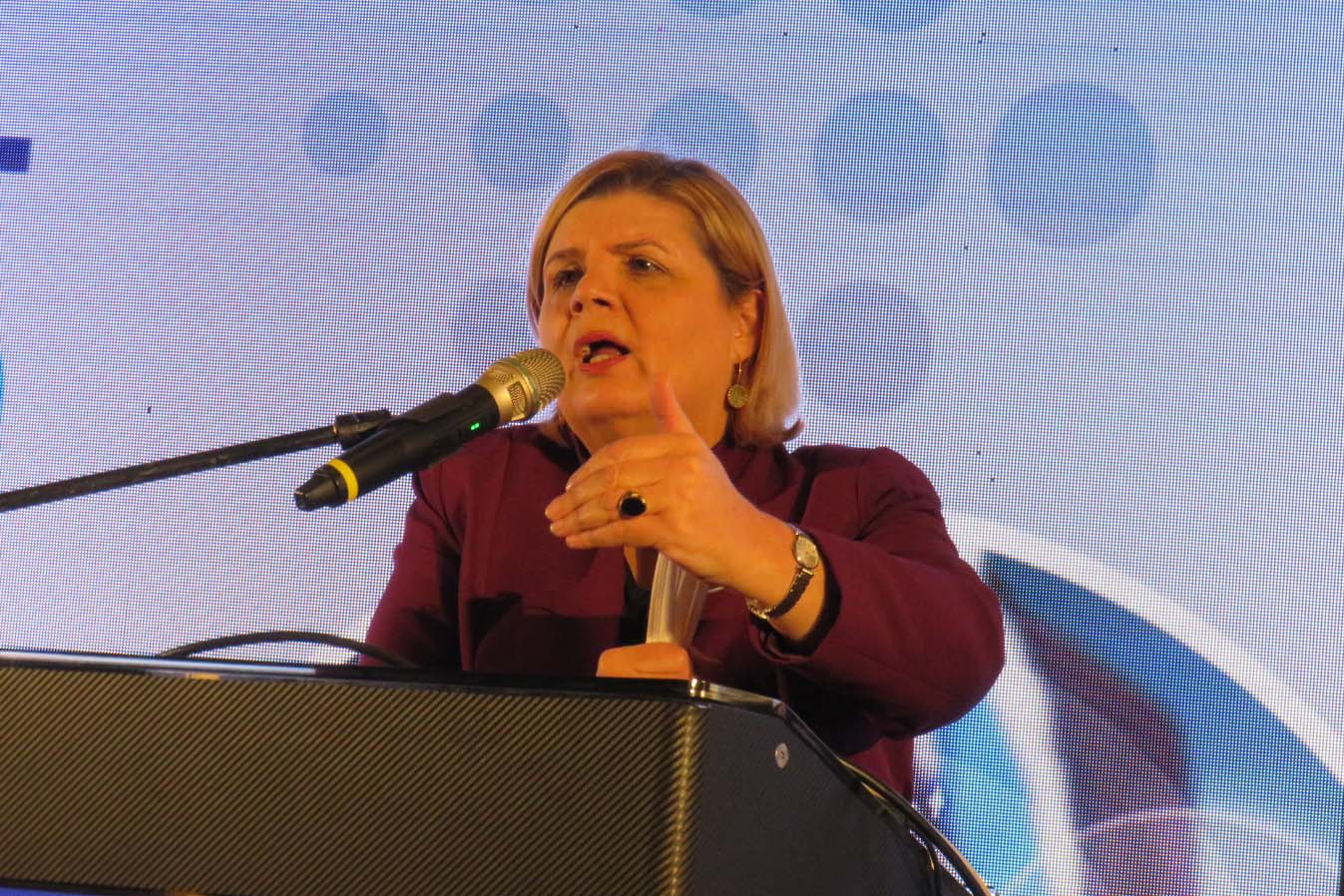 שרת הכלכלה אורנה ברביבאי (צילום: קרן שמש)