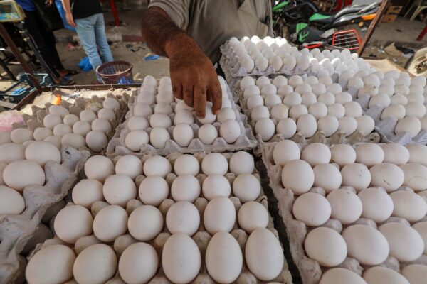 ביצים בשוק (צילום אילוסטרציה: עבד רחים חטיב/פלאש 90)