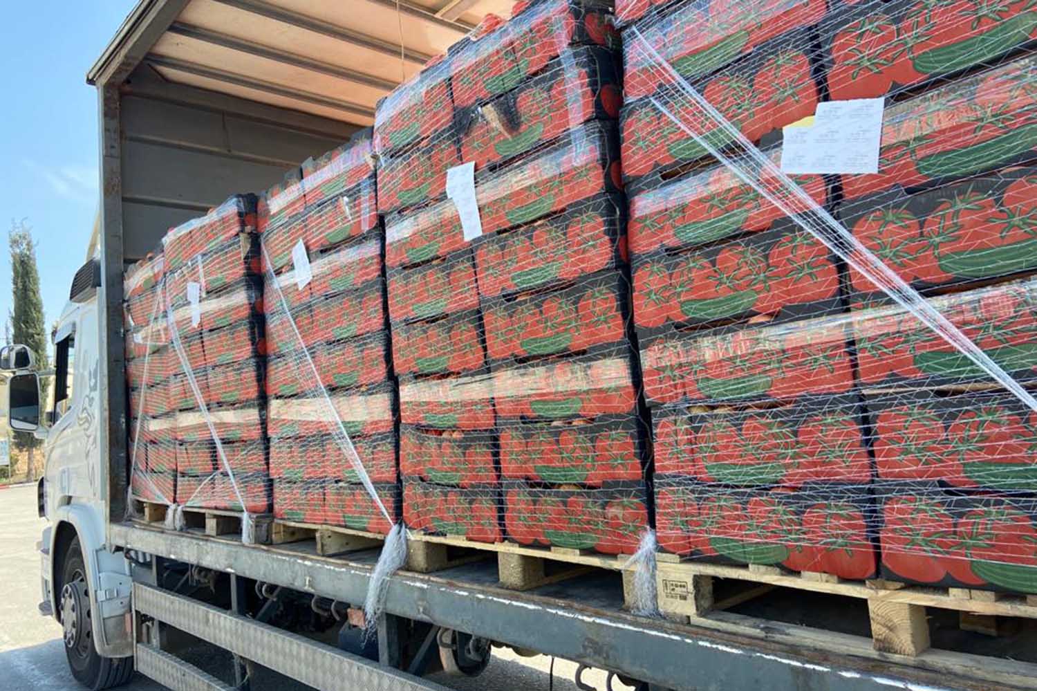 10 טון ירקות מרצועת עזה שיועדו למכירה בישראל ונתפסו על ידי משרד החקלאות (צילום: משרד החקלאות)