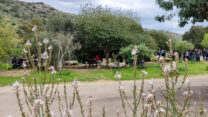 שמורת הטבע נחל מערות (צילום: רן פרץ רשות הטבע והגנים)