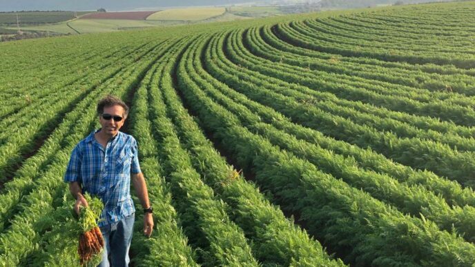 Farmer Ronen Albaz in front of his carrot field. (Photo: Liav Albaz)