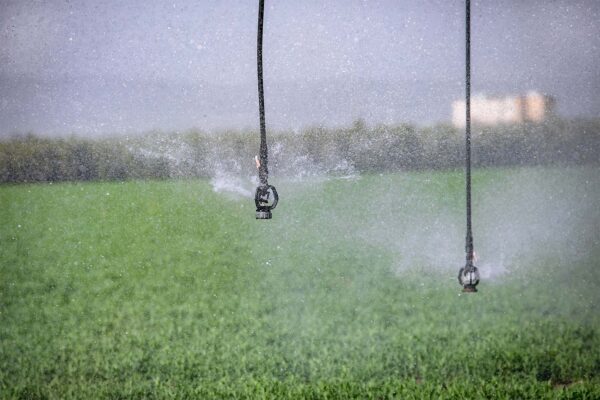 השקיה בשדה חקלאי (צילום: ענת חרמוני/פלאש 90)