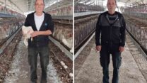 מנשה משיח בלול הריק בפברואר, ובלול החי באפריל. ״בגלל שהכול היה מעכשיו לעכשיו, הכנסנו פרגיות צעירות מאוד״ (צילום: מאיה רונן)