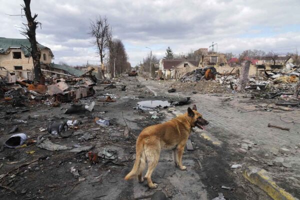 הרס בעיירה בוצ'ה, לאחר שצבא רוסיה עזב אותה (צילום: AP Photo/Efrem Lukatsky)