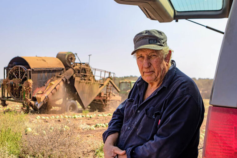 מנוחת החקלאי מבית שערים (צילום: ליאור כרמון)