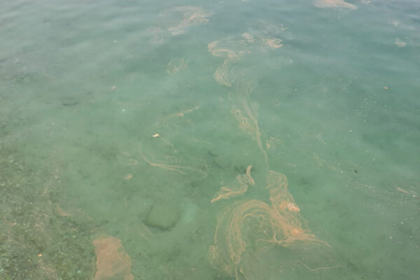 כתם הקצף על המים במפרץ אילת (צילום: עוז גורן, המשרד להגנת הסביבה)