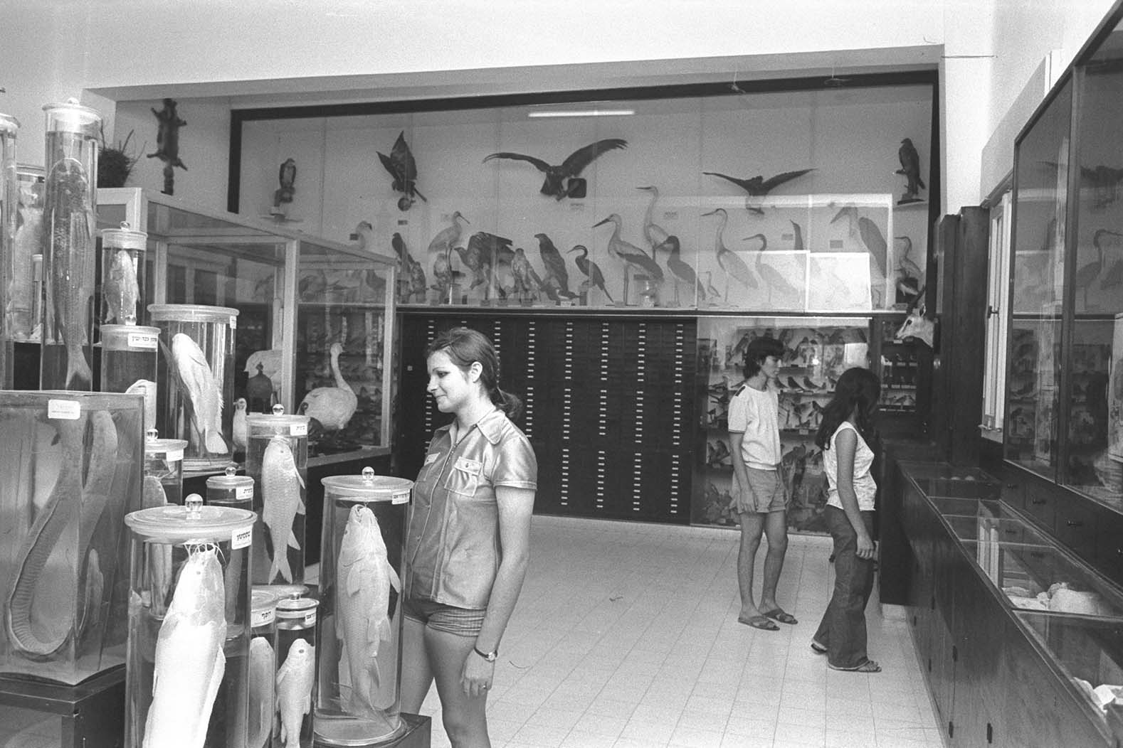 מבקרים במוזיאון, 1972. גם היום אפשר (צילום: פריץ כהן לע&quot;מ)