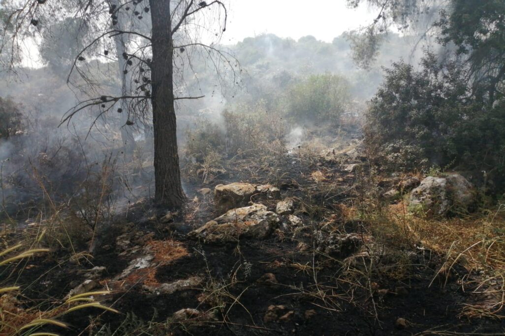 שריפה ביער אליקים. צילום: מכבי אש